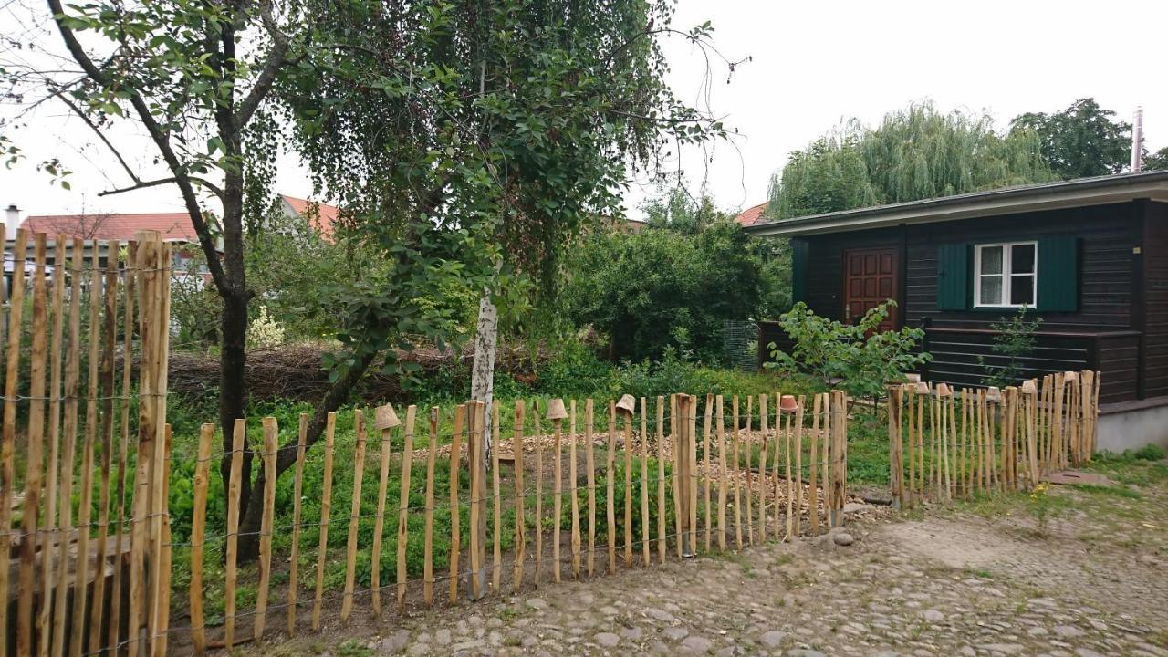 Appartement Huette Mit Herz Im Harz à Meisdorf Extérieur photo