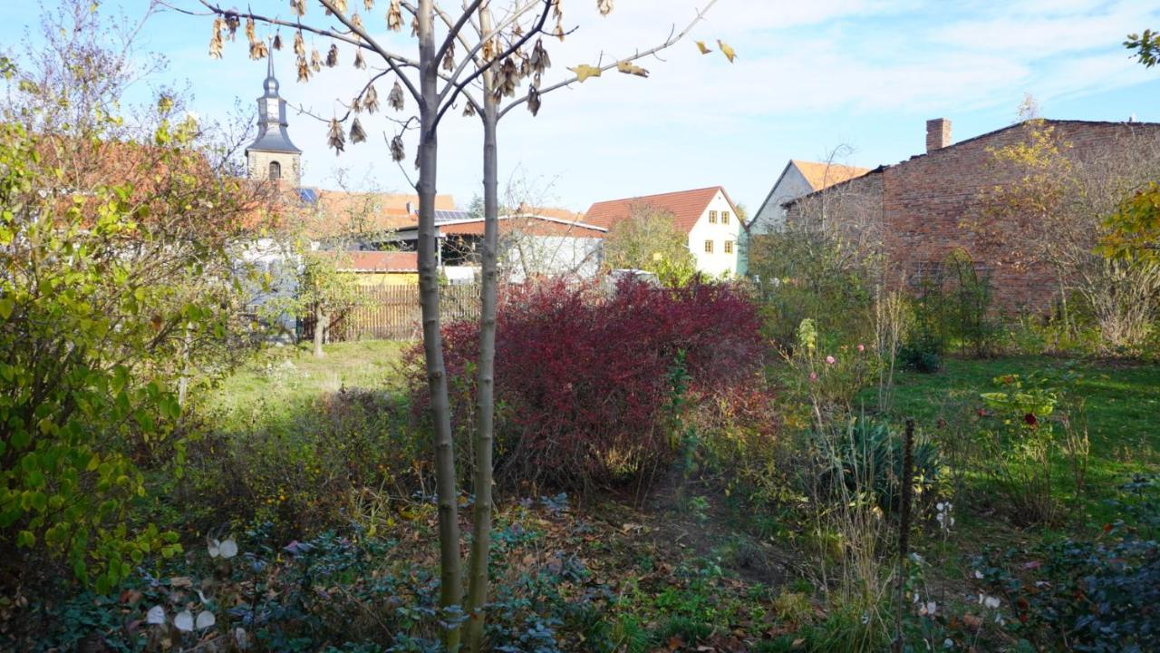 Appartement Huette Mit Herz Im Harz à Meisdorf Extérieur photo